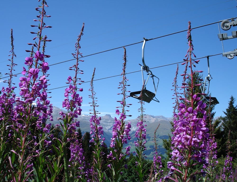 Bergbahnen Obersaxen Mundaun Val Lumnezia im Sommer